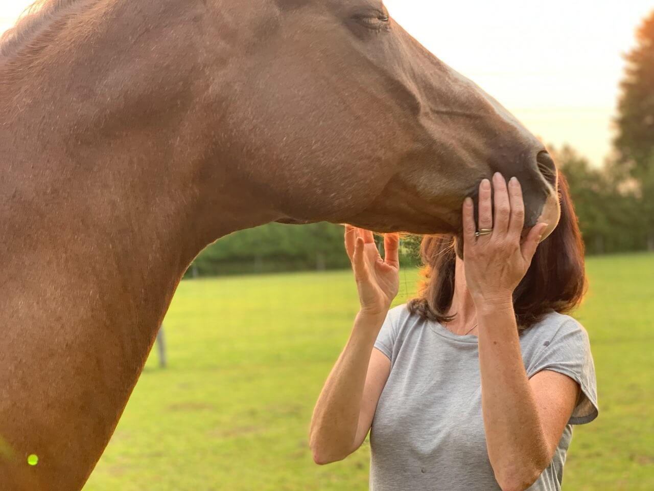 Meditation with the Horses