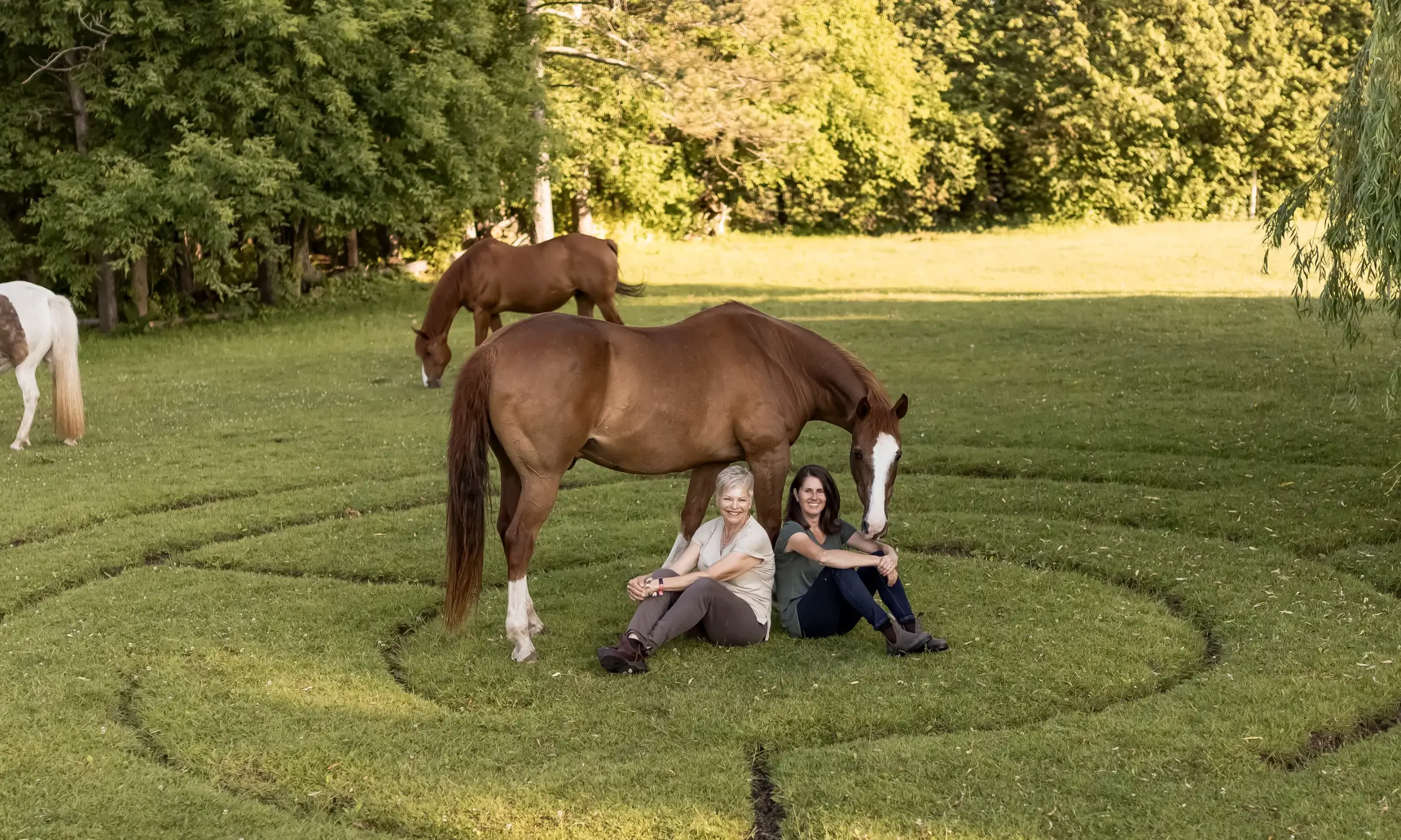 Horse and Hands